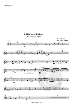 Hochzeit des Figaro (Wolfgang Amadeus Mozart) 
