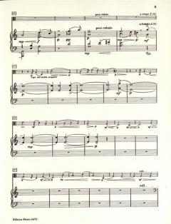 The Wind and the Rain von David Amram für Viola und Klavier im Alle Noten Shop kaufen