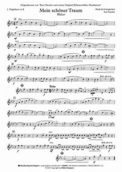 Mein schöner Traum - Walzer (Kurt Pascher) 