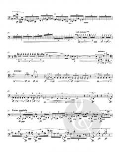 ucelli e ucelletti von Manfred Trojahn (Download) 