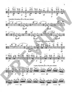Scent Dance II von Xuntian He 