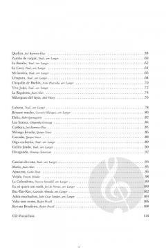 Saitenwege nach Südamerika 1 von Michael Langer 