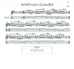 100 Tunes From O'Neill's Music Of Ireland von Kevin Allison 