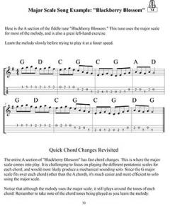 Theory and Improvisation for Modern Mandolinist 1 im Alle Noten Shop kaufen
