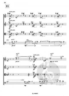 Freizeit von Enno Poppe für Streichquartett im Alle Noten Shop kaufen (Partitur)