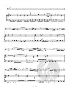 Konzert G-Dur RV 493 (Antonio Vivaldi) 