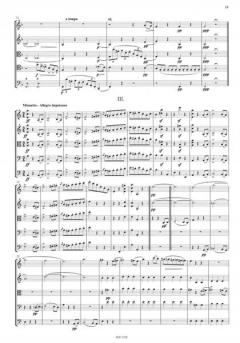 Quintett op. 40 a-moll von Ignacy Feliks Dobrzynski 