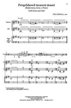 Peegeldused tasasest maast (with Cello) 