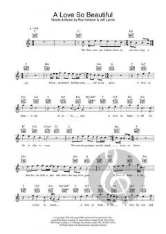 A Love So Beautiful von Roy Orbison 